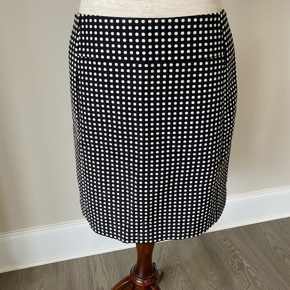 Ann Taylor Loft Skirt NWT